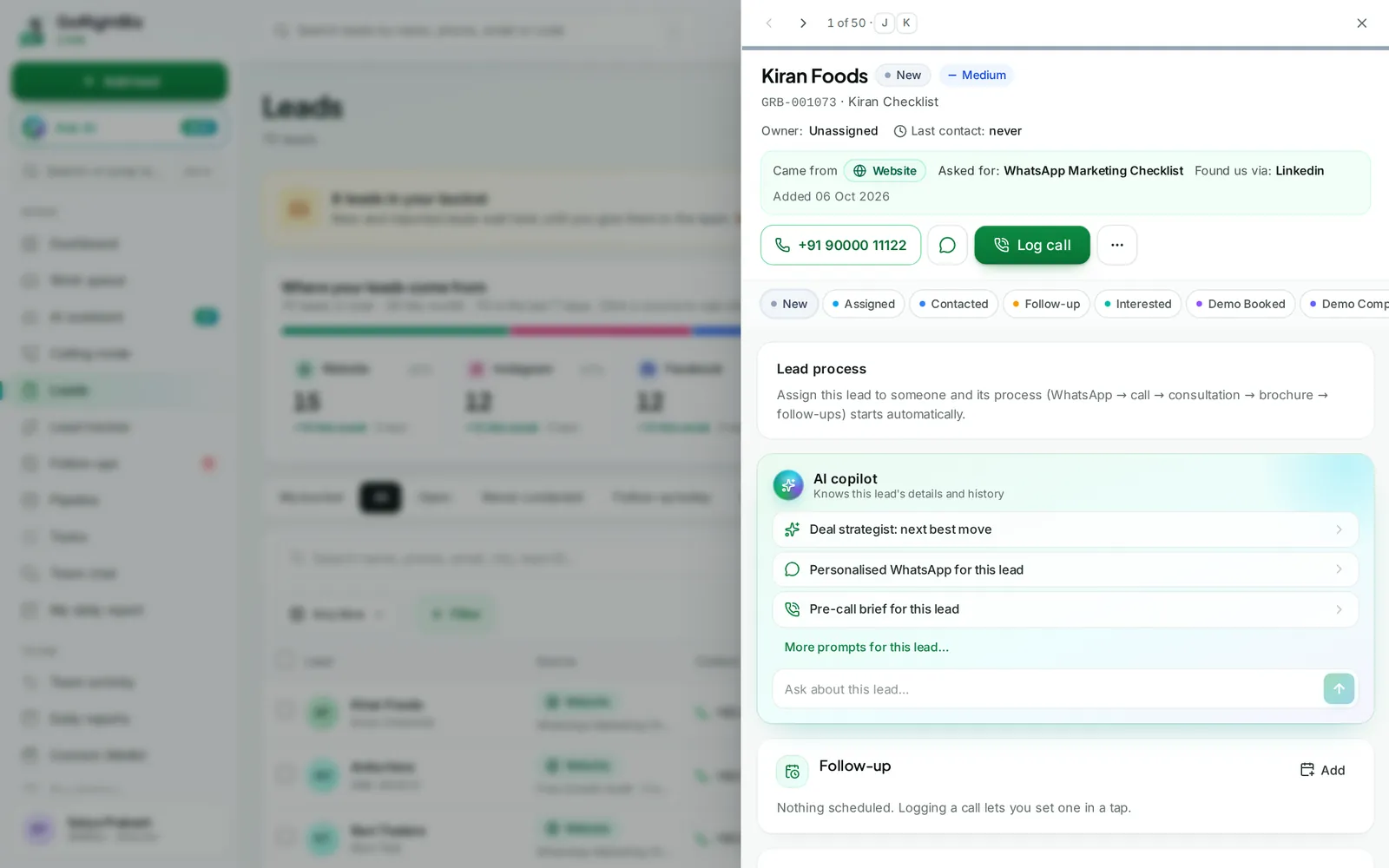 Lead view with source and AI copilot